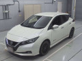 2021 Nissan Leaf