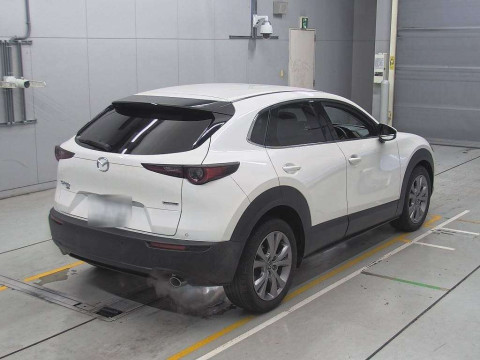 2019 Mazda CX-30 DMEP[1]