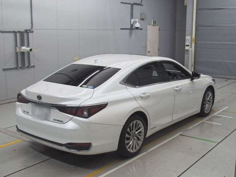 2019 Lexus ES AXZH10[1]