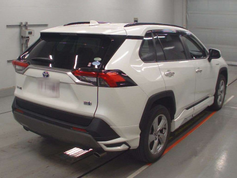 2019 Toyota RAV4 AXAH54[1]