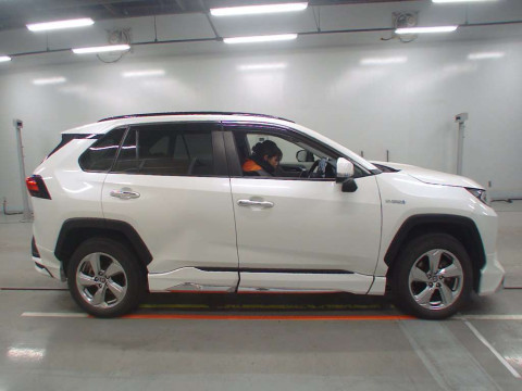 2019 Toyota RAV4 AXAH54[2]