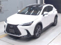 2022 Lexus NX