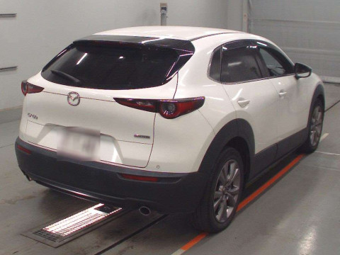 2019 Mazda CX-30 DM8P[1]