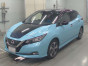 2019 Nissan Leaf