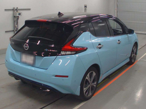 2019 Nissan Leaf ZE1[1]