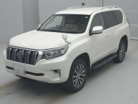 2019 Toyota Land Cruiser Prado