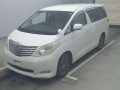 2010 Toyota Alphard