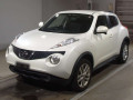 2010 Nissan JUKE