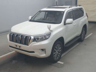 2019 Toyota Land Cruiser Prado