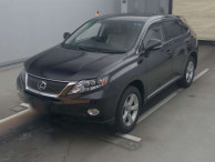 2010 Lexus RX