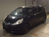 2010 Honda Fit Hybrid