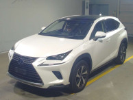 2019 Lexus NX