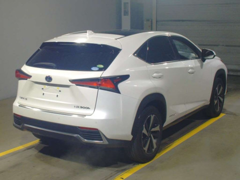 2019 Lexus NX AYZ10[1]