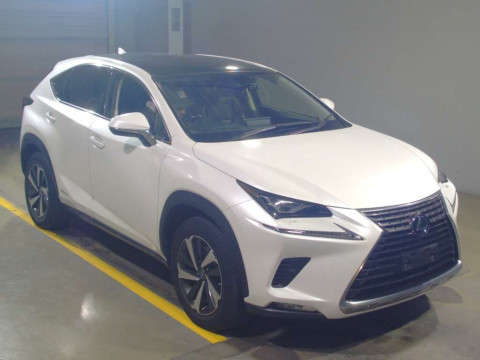 2019 Lexus NX AYZ10[2]