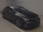 2019 Toyota Mark X