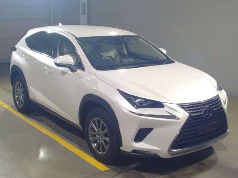 2019 Lexus NX AGZ10[2]