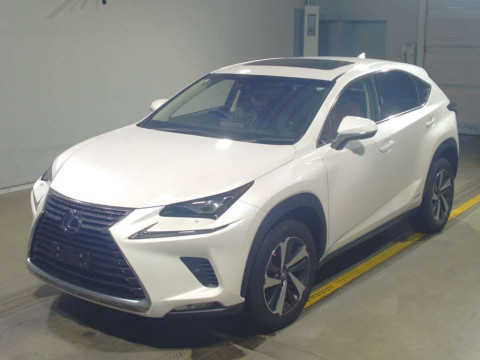 2019 Lexus NX AYZ10[0]