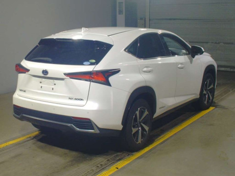 2019 Lexus NX AYZ10[1]