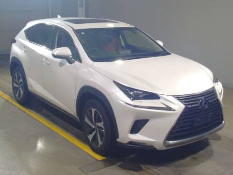 2019 Lexus NX AYZ10[2]