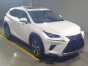 2019 Lexus NX