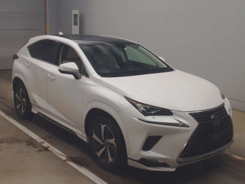 2019 Lexus NX AYZ15[2]