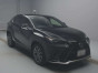 2020 Lexus NX