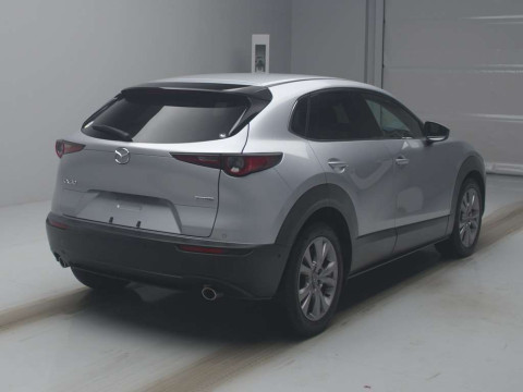 2019 Mazda CX-30 DM8P[1]