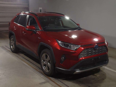 2019 Toyota RAV4 AXAH54[2]