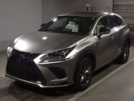 2019 Lexus NX