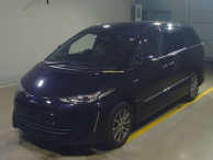 2019 Toyota Estima Hybrid