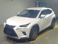 2019 Lexus NX