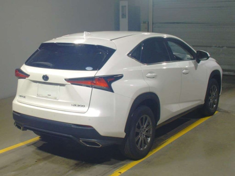 2019 Lexus NX AGZ10[1]