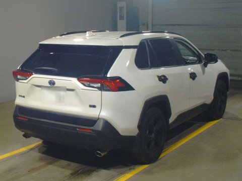 2020 Toyota RAV4 AXAH52[1]