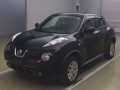 2011 Nissan JUKE