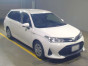 2019 Toyota Corolla Fielder