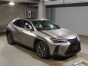 2019 Lexus UX