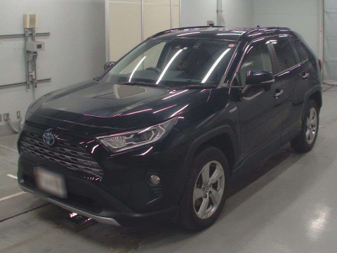 2019 Toyota RAV4 AXAH54[0]