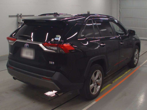 2019 Toyota RAV4 AXAH54[1]