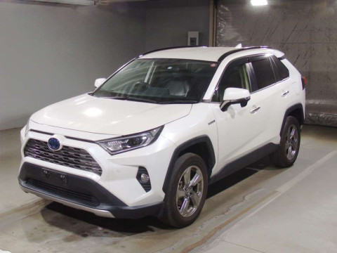 2019 Toyota RAV4 AXAH54[0]