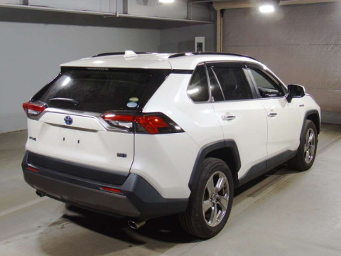 2019 Toyota RAV4 AXAH54[1]