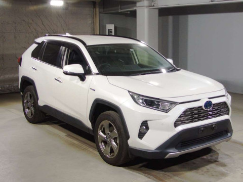 2019 Toyota RAV4 AXAH54[2]