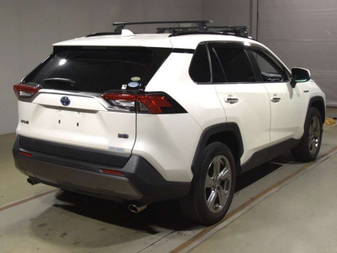 2019 Toyota RAV4 AXAH54[1]