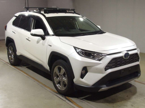 2019 Toyota RAV4 AXAH54[2]