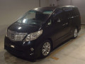 2009 Toyota Alphard