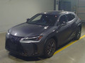 2021 Lexus UX