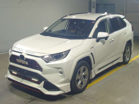 2019 Toyota RAV4 AXAH54[0]