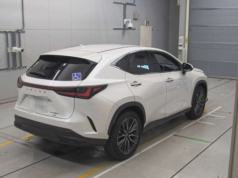 2023 Lexus NX AAZH25[1]