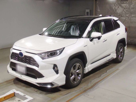 2019 Toyota RAV4 AXAH54[0]