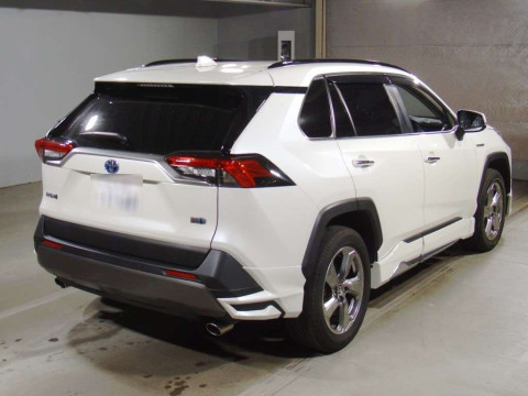 2019 Toyota RAV4 AXAH54[1]