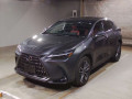 2022 Lexus NX